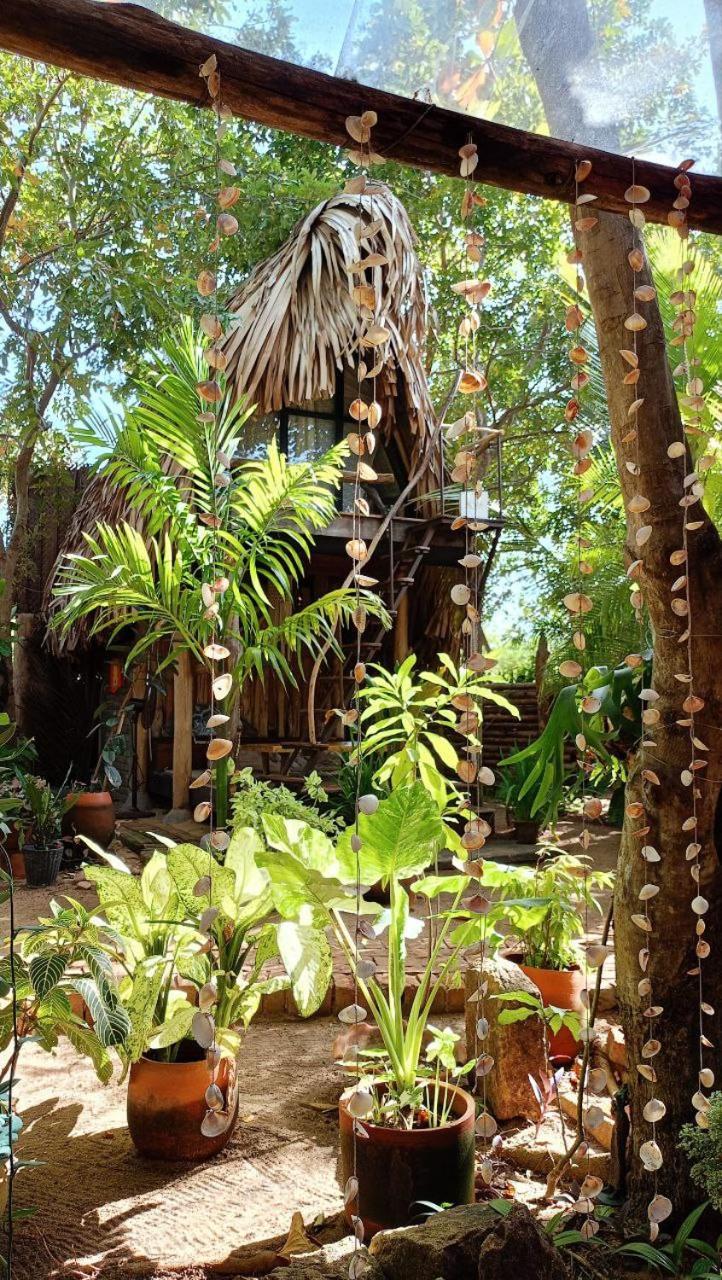 Monsoon Eco Resort - Whisky Point Arugambay Pottuvil Buitenkant foto