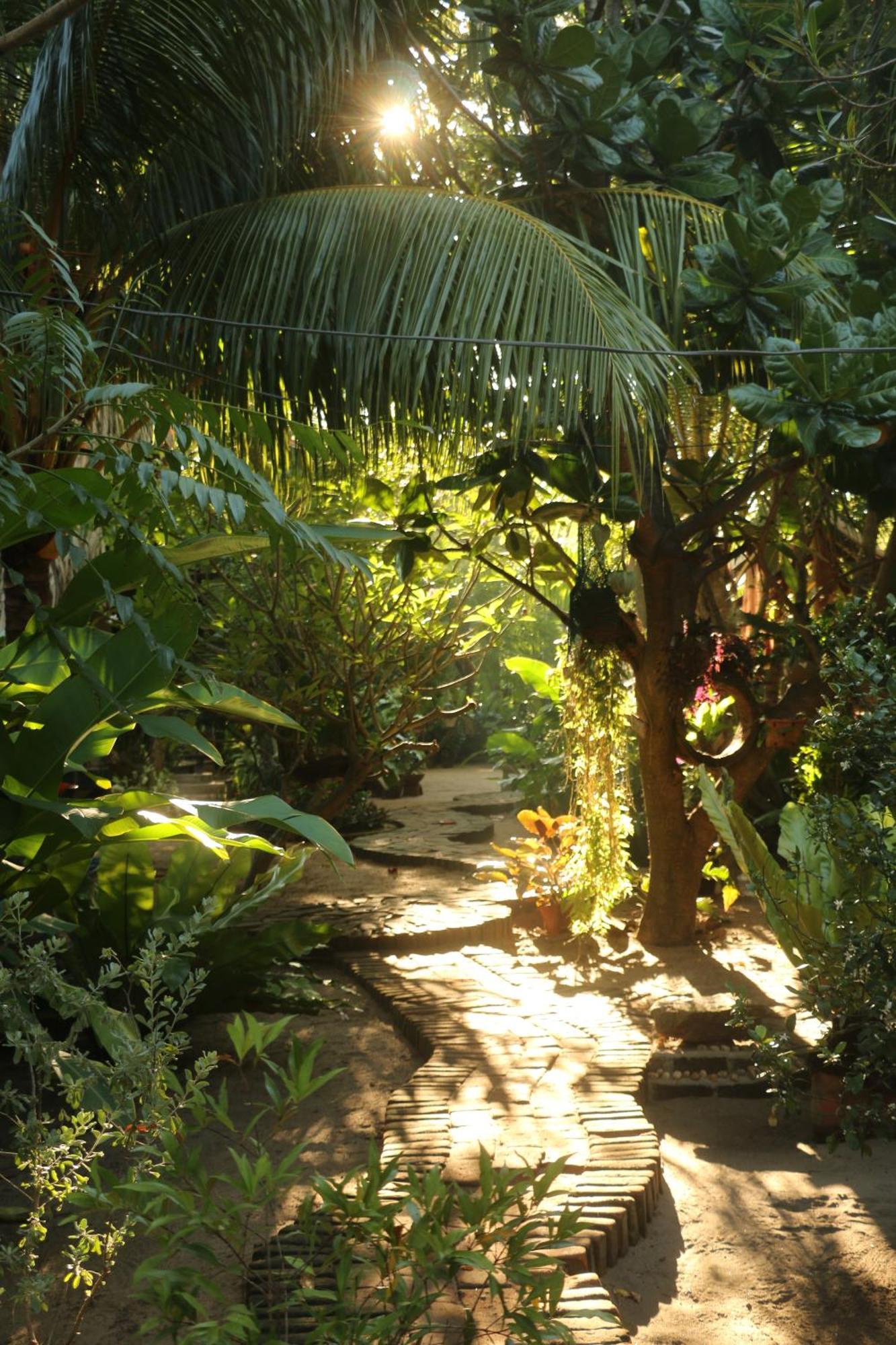 Monsoon Eco Resort - Whisky Point Arugambay Pottuvil Buitenkant foto